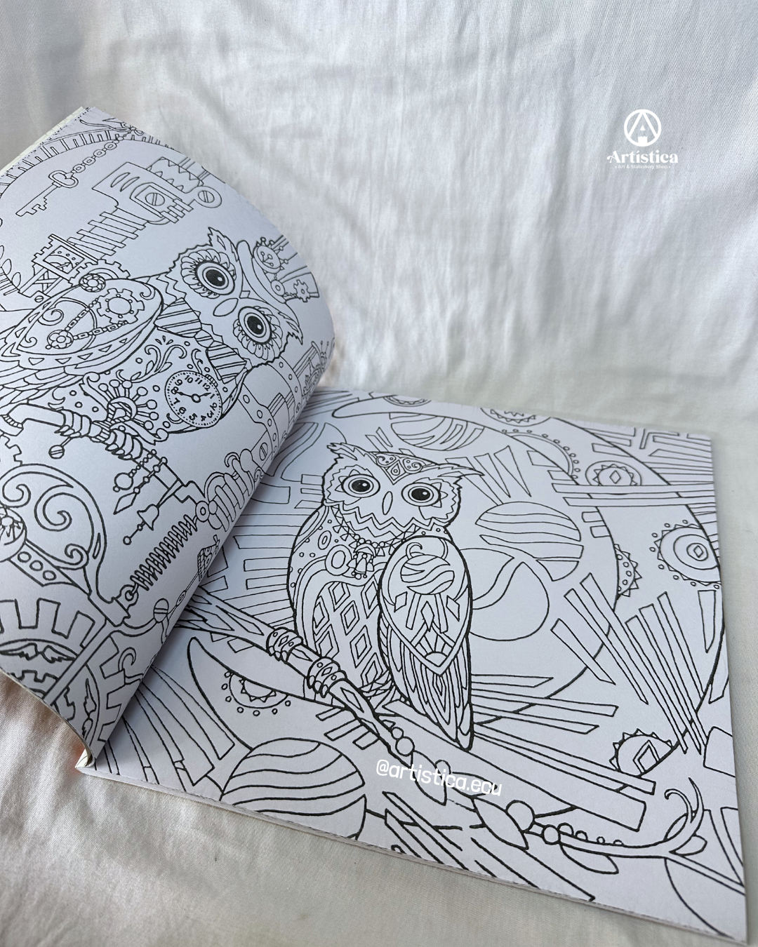 Libro de mandala búho