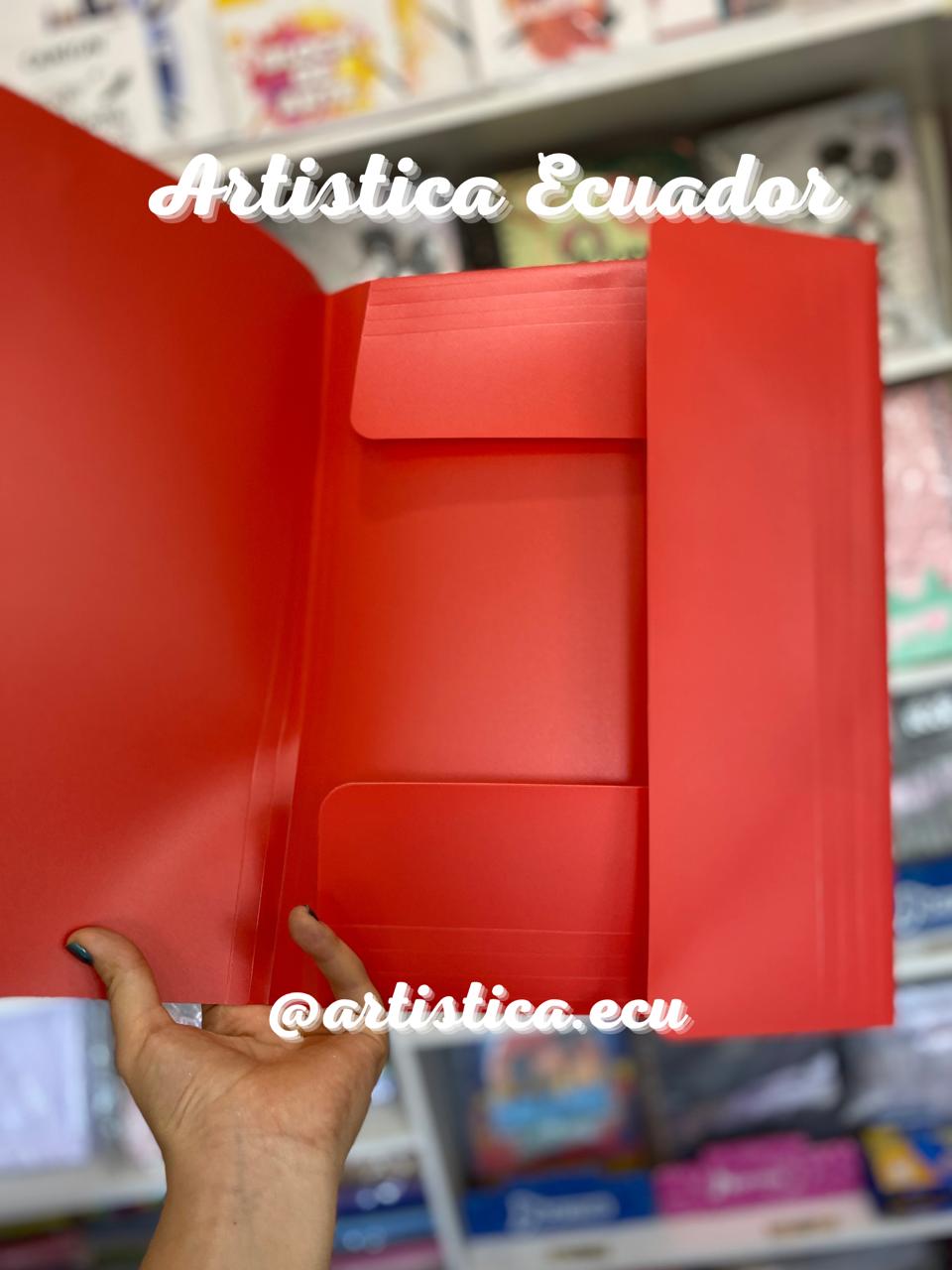 Carpeta con elastico