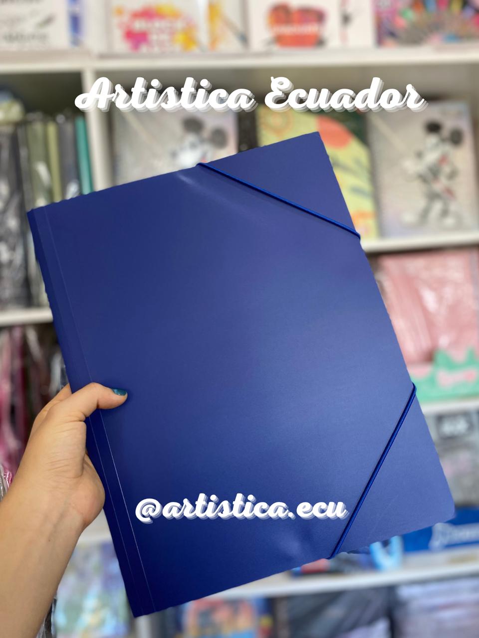 Carpeta con elastico