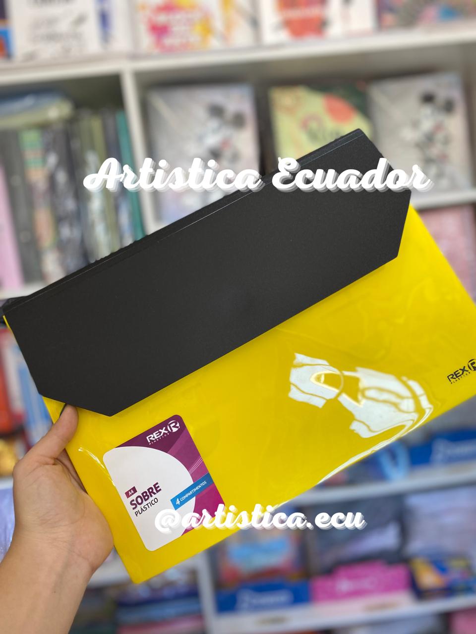 Carpeta sobre despegable