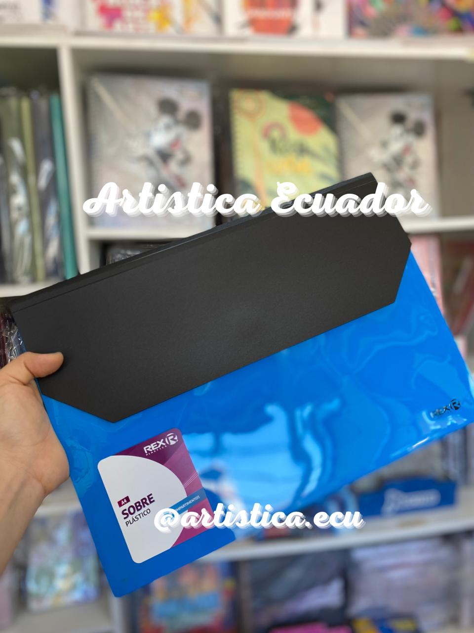 Carpeta sobre despegable
