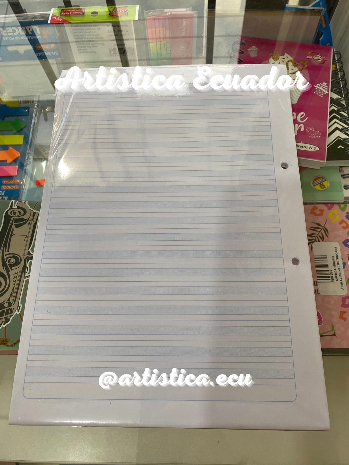 Hojas para carpeta