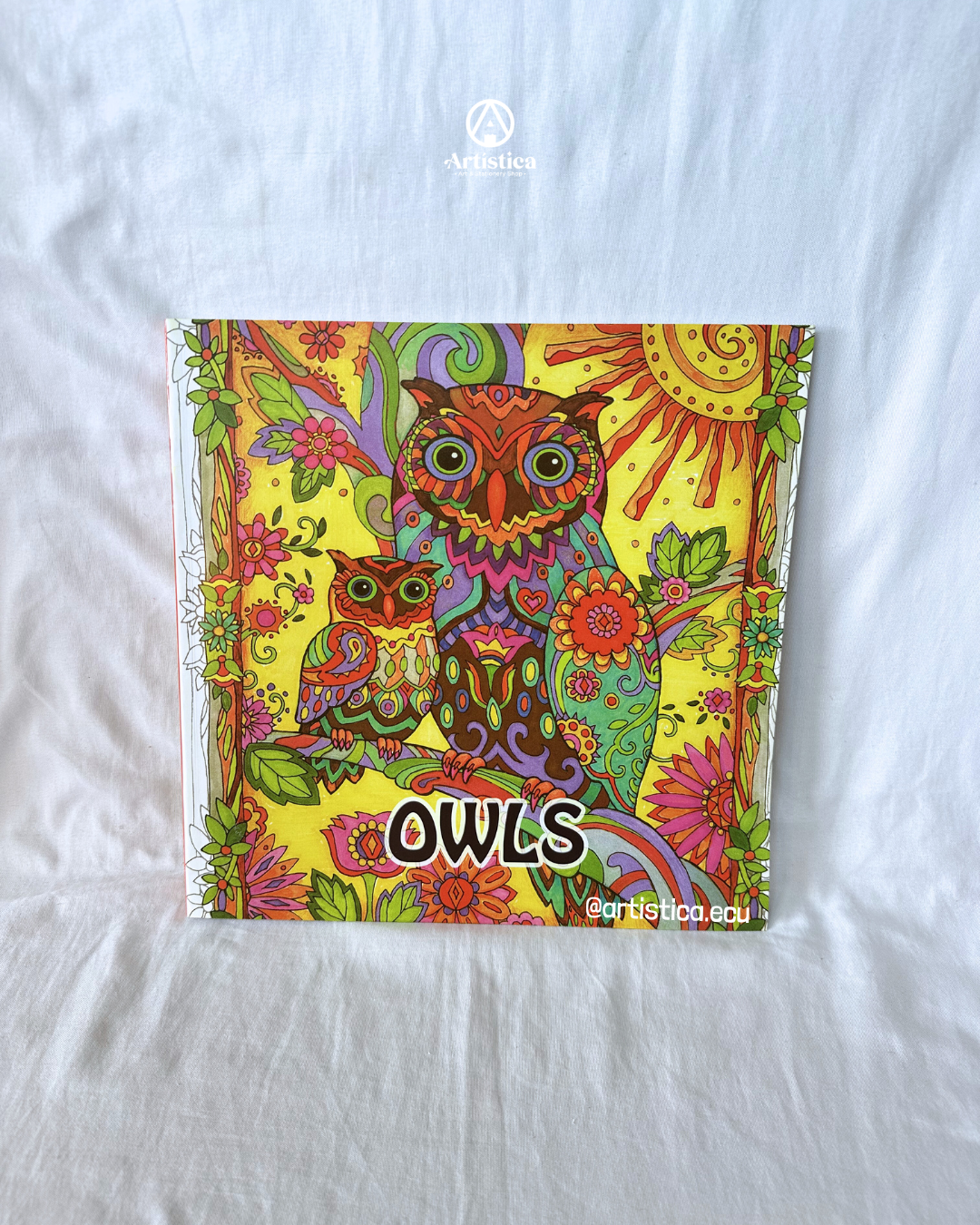 Libro de mandala búho