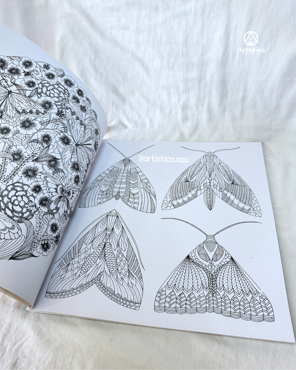 Libro de mandala animales