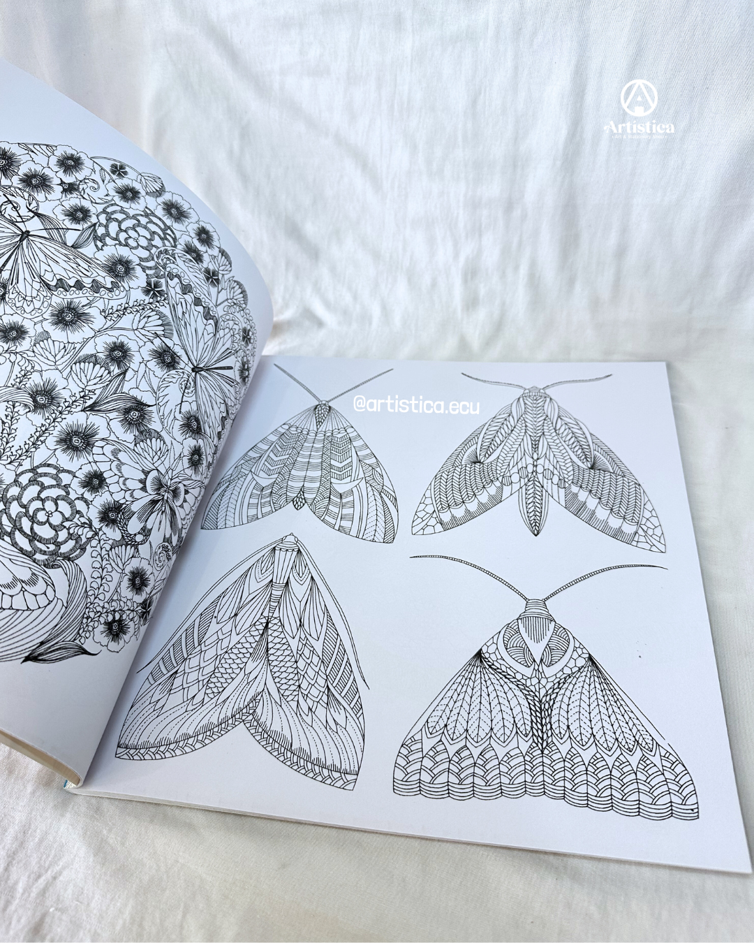 Libro de mandala animales