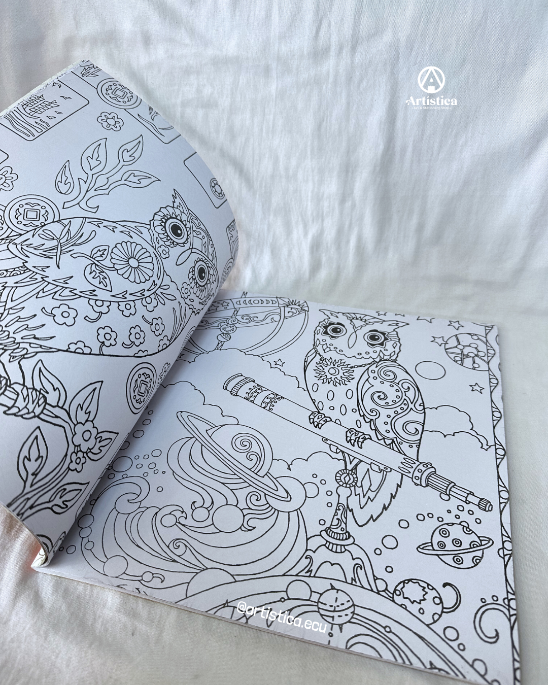 Libro de mandala búho