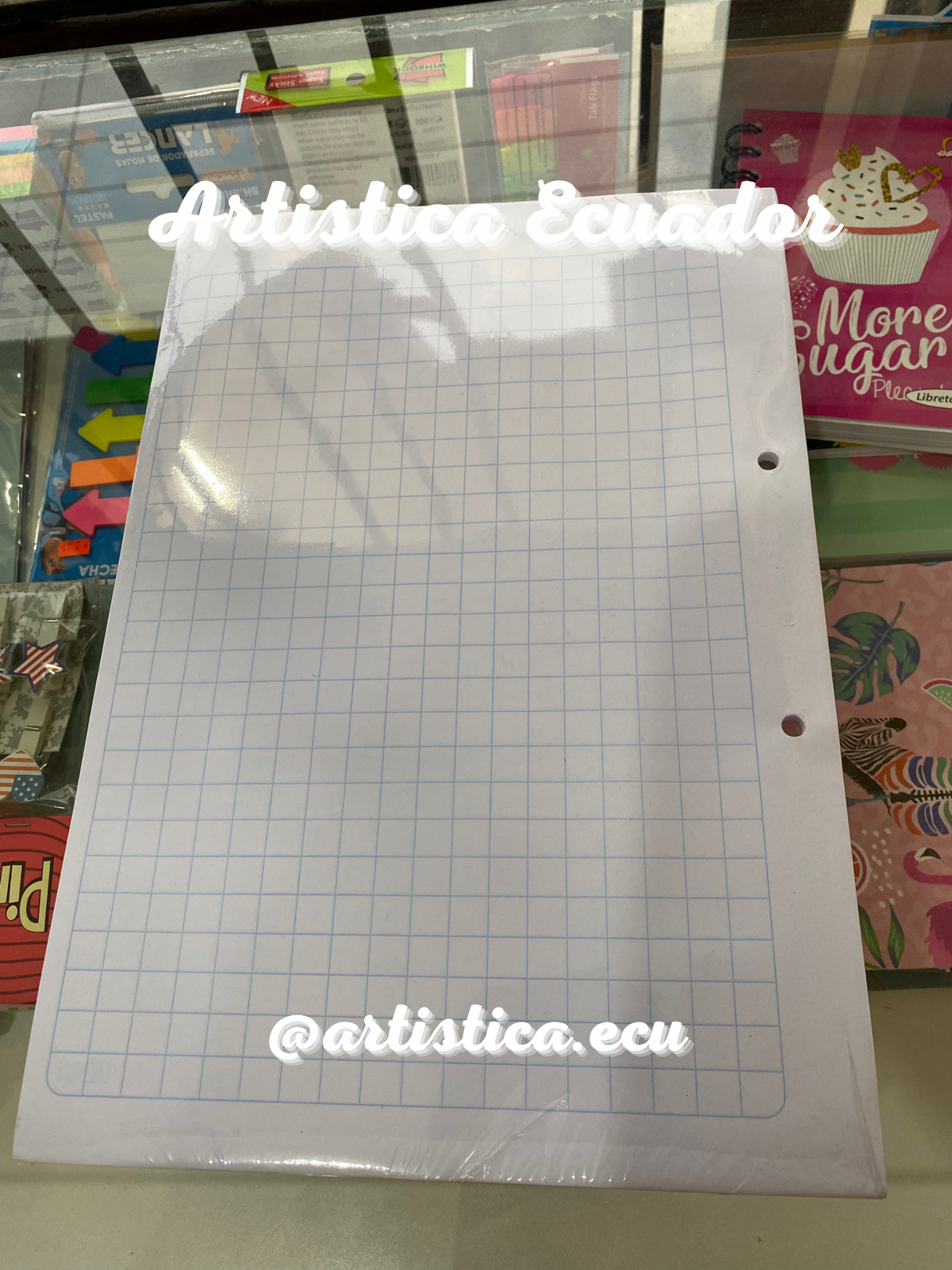 Hojas para carpeta