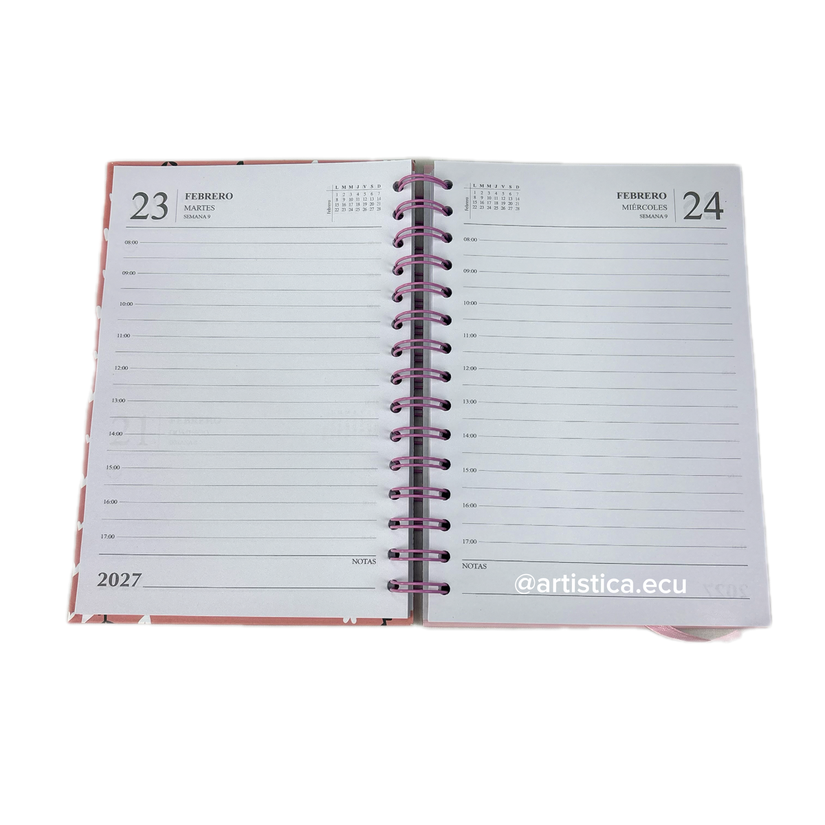 Agenda 2027 Romantic