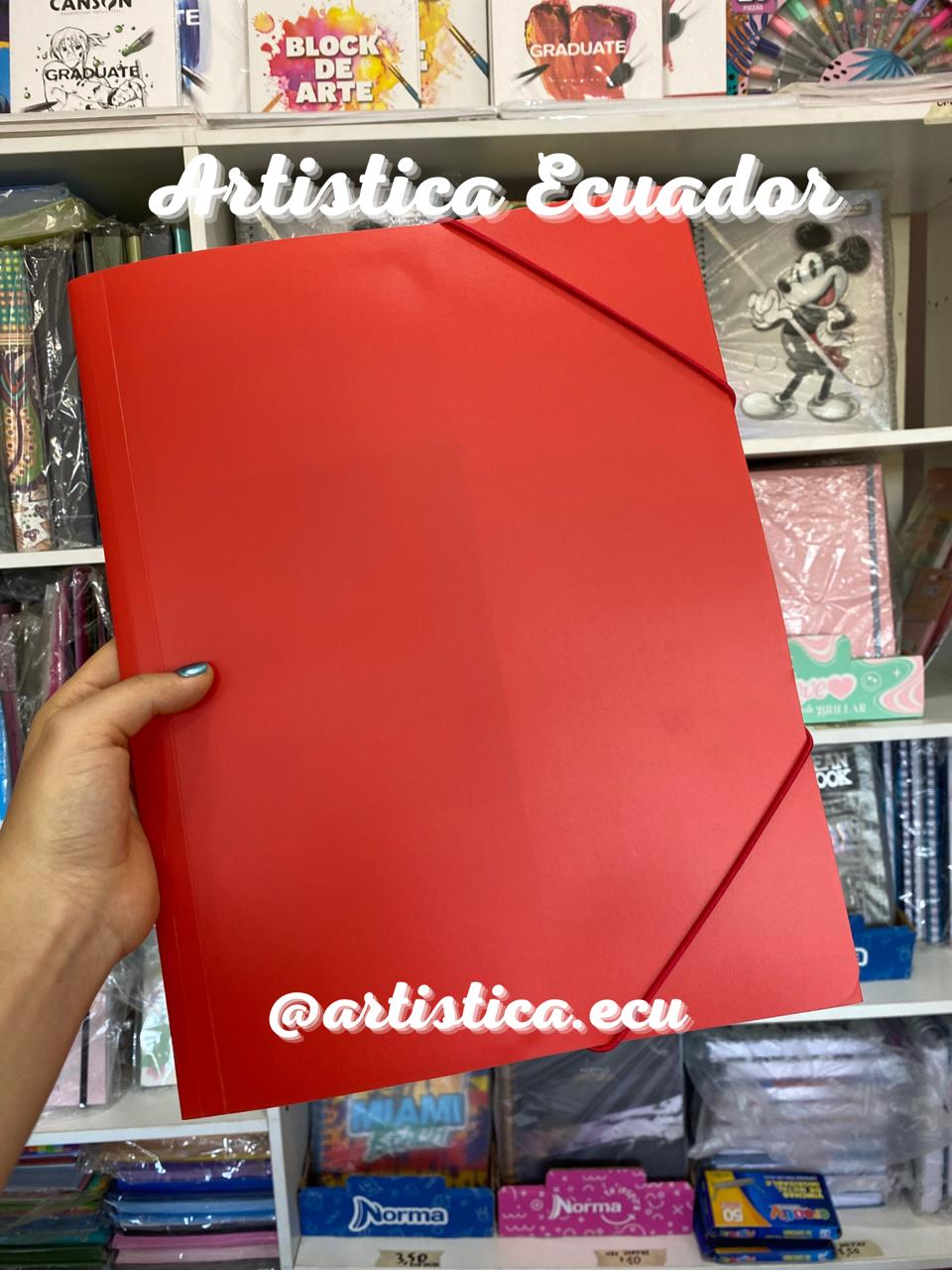Carpeta con elastico